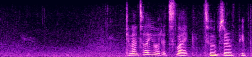 source spectrogram